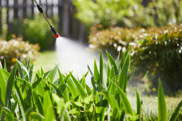 24/7 Emergency Wasp Removal experts in Opp, AL