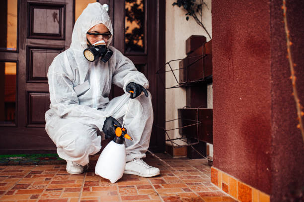 Reliable Wasp Removal contractor in Opp, AL by Show Me Pest Control