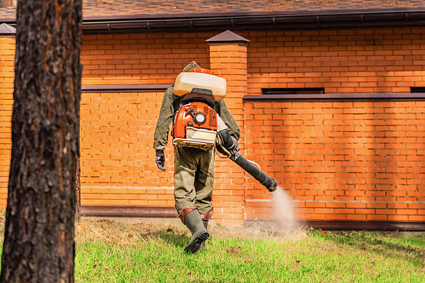 Top rated local Wasp Removal specialists in Opp, AL